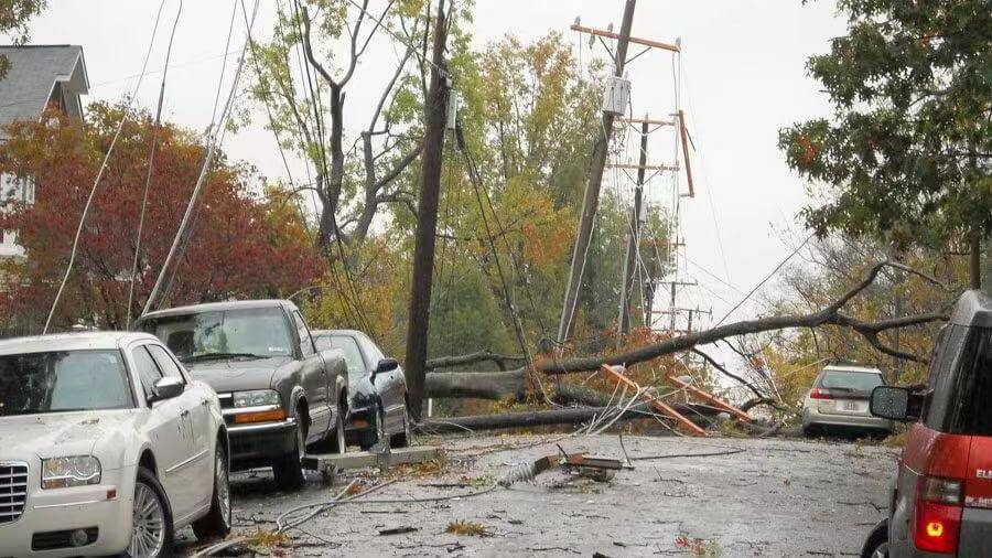 The Fallen Power Line